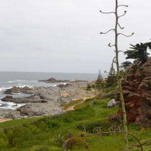 Isla Negra