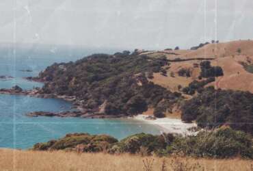 Waiheke Island