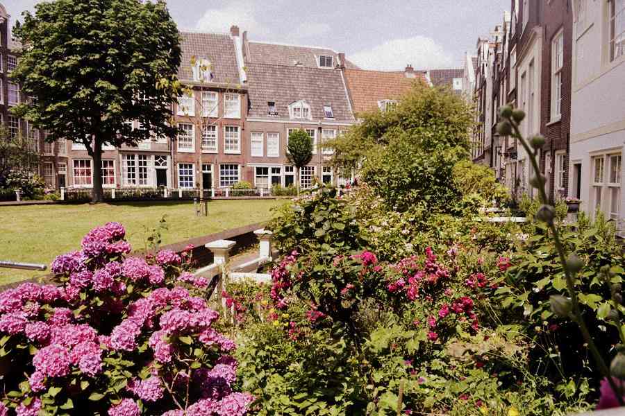 Qué hacer gratis en Amsterdam