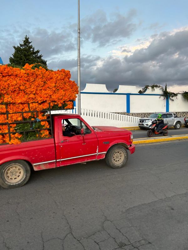 camioneta con flores