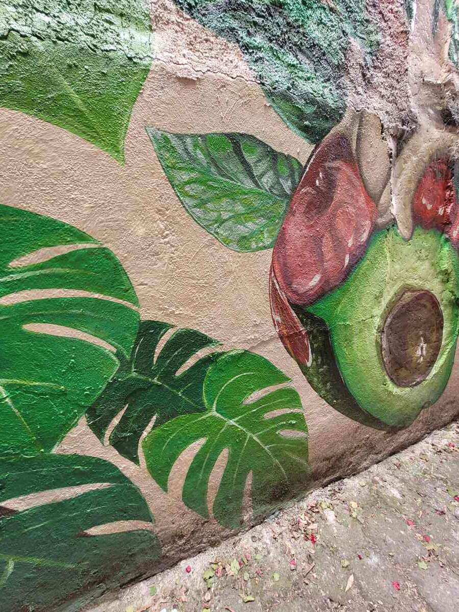 callejón aguacate