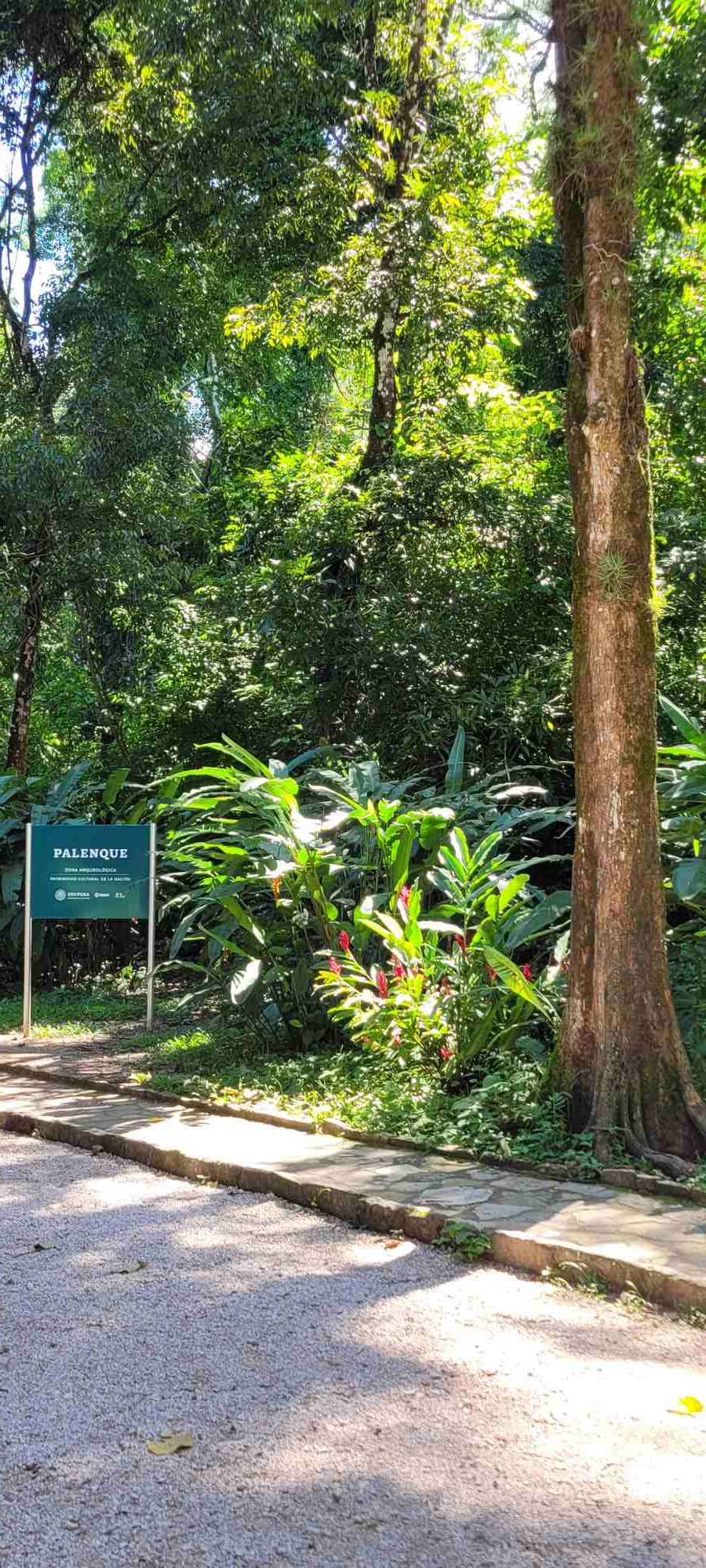 Palenque