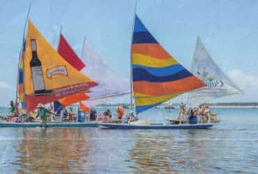 Cómo llegar a Porto de Galinhas