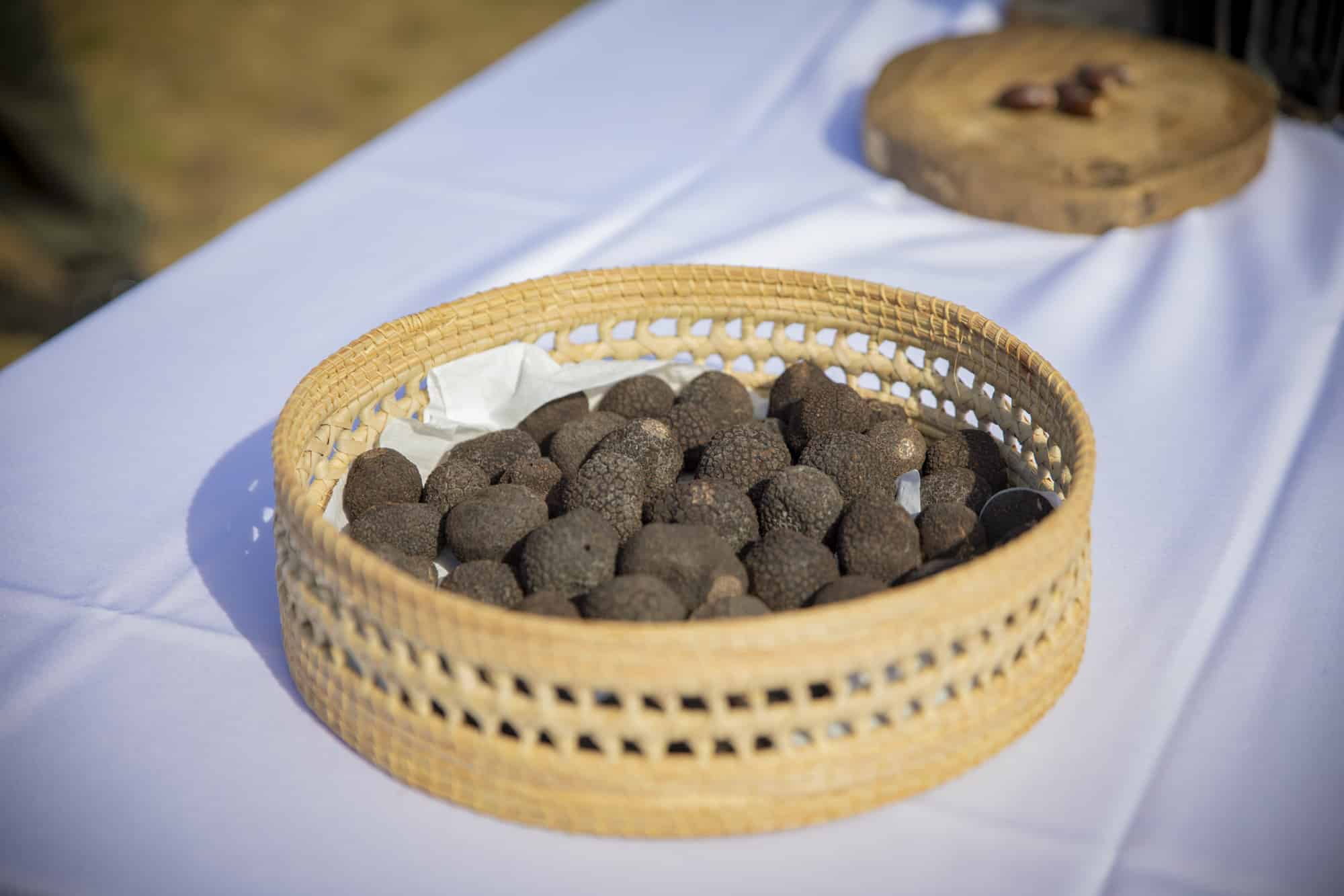trufas