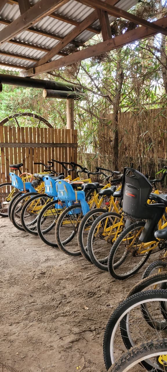 Bicicletas disponibles para huéspedes de Cabañas Mecohue

