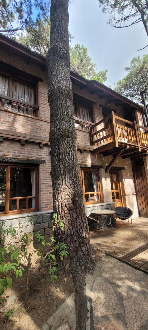Cabañas Mecohue en Costa del Este rodeadas de pinos

