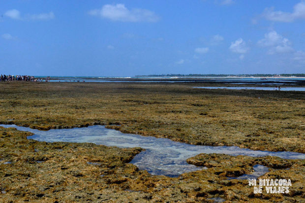 viajar a Porto de Galinhas
