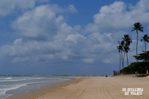 viajar a Porto de Galinhas