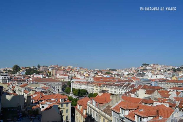 Carta abierta a Lisboa