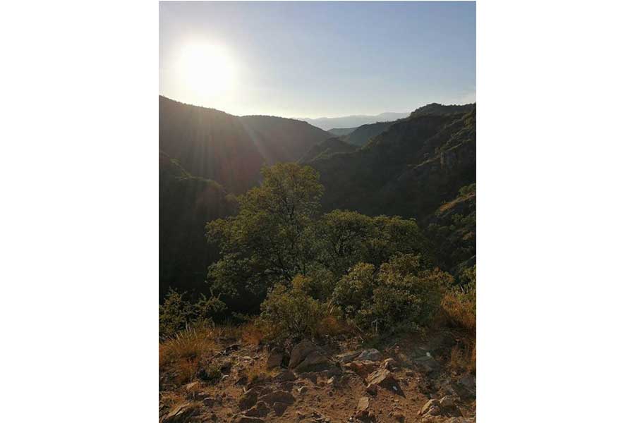 Mirador del Cerro de la Cruz